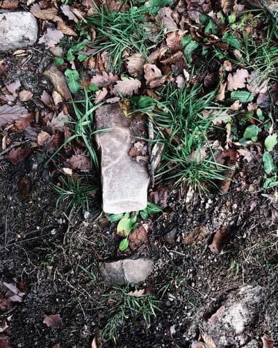 Mads Vestbjerg Bendixen