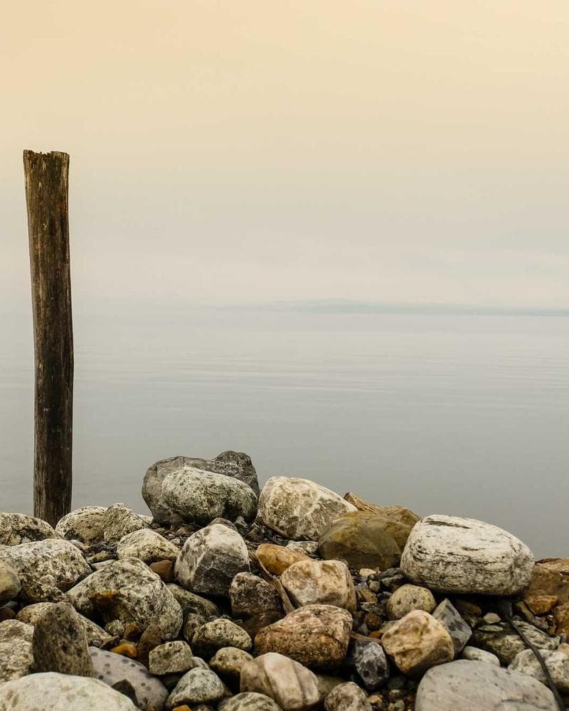 Magasiner & tryksager