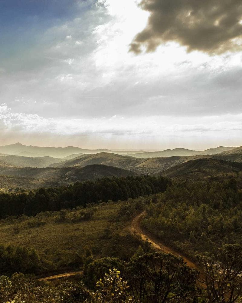 Markedsføringsstrategi